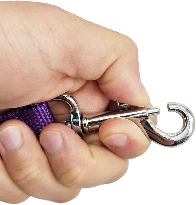 Nylon Dog Training Leash, Traction Rope, 4Ft /5 Foot /6 Feet Long, 5/8 inch 3/4 Inch 1 Inch Wide, for Small and Medium Dogs (1'' x 12 FT, Purple)