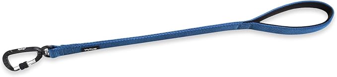 Hyhug Pets 24” Heavy Duty Nylon Short Leash with Comfortable Handle and Lightweight Aviation Aluminium Clip Lead- for Large Medium Dogs Daily Walking&Training. (24 Inches, Classic Blue)