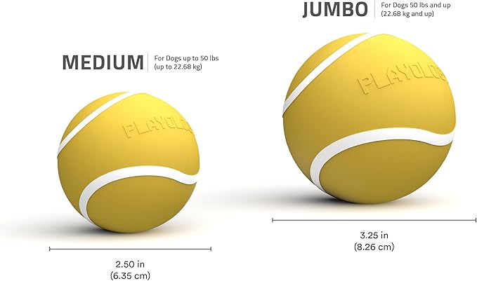 Playology Dog Toys | Squeaky Chew Ball - Bouncy Durable Floating Fetch Ball for Dogs | Jumbo Apple Cider Limited Edition Fall Scented Toy - Easy to Clean and Made from Non Toxic Materials