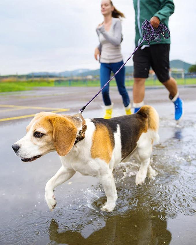 (2 Pack) Long Dog Leash for Dog Training 15FT/30FT/50FT, Dog Rope Leashes with Reflective Thread for Large Medium Small Dogs, Dog Tie-Out Cable Lead for Hunting, Camping&Backyard