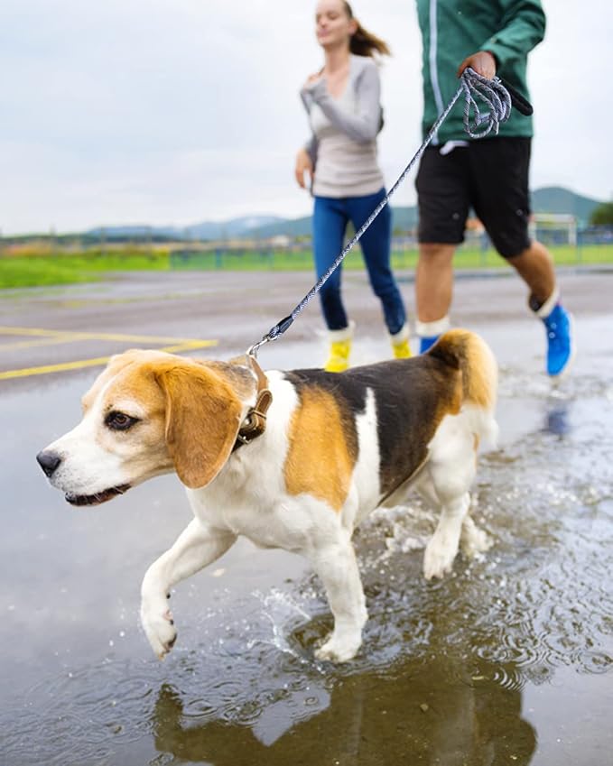 2 Pack Long Dog Leash for Training - 15FT/30FT/50FT, Reflective Rope Check Cord for Large, Medium & Small Dogs - Tie-Out Cable Lead for Hunting, Camping or Backyard