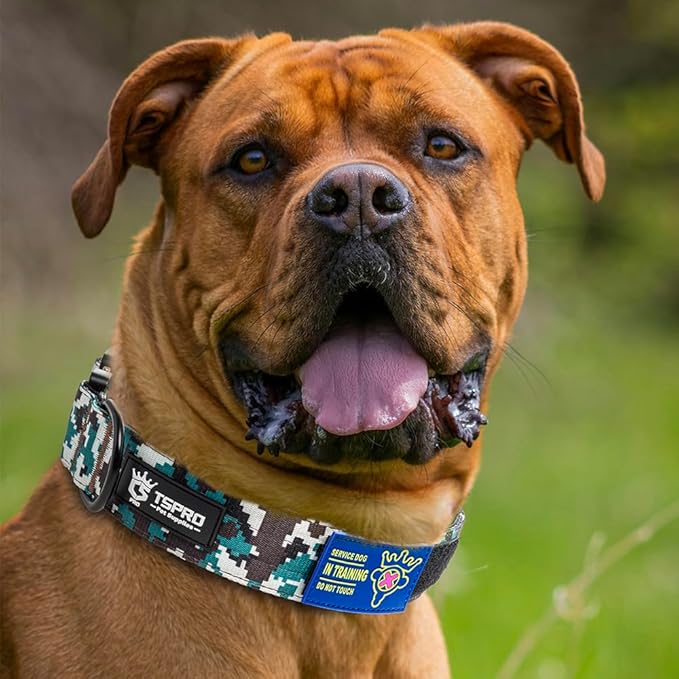 TSPRO Premium Dog Collars Tactical Dog Collar with Patch and Heavy Duty Quick-Release Metal Buckle Durable Thick and Adjustable for Medium to Large Dogs (Camo Cyan L)