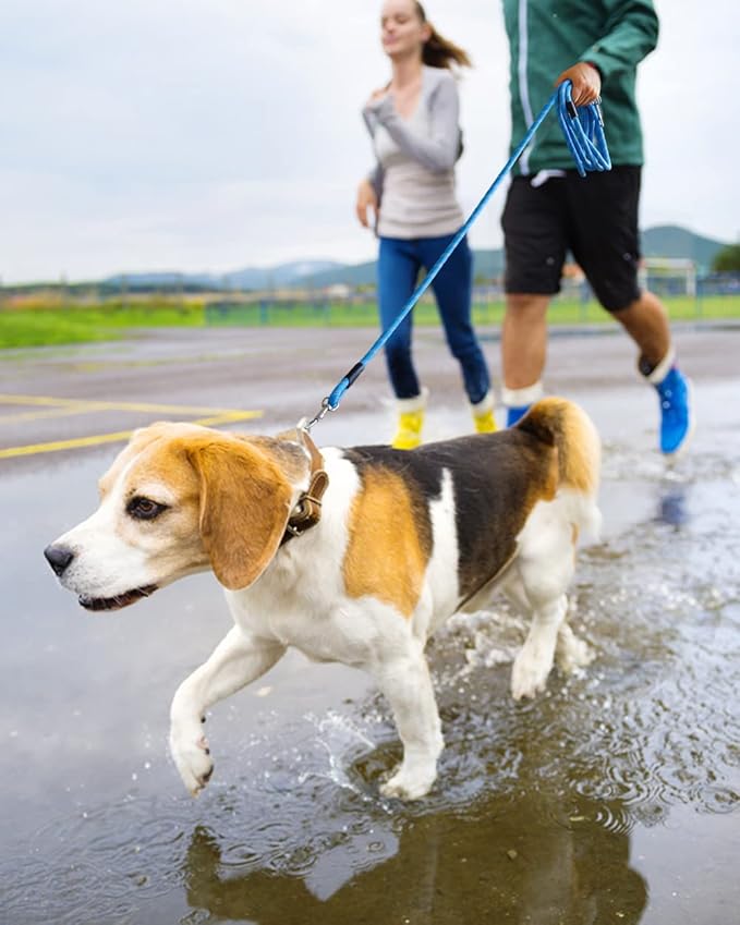 (2 Pack) Long Dog Leash for Dog Training 15FT/30FT/50FT, Dog Rope with Reflective Thread for Large Medium Small Dogs, Dog Tie-Out Cable Lead for Hunting, Camping&Backyard