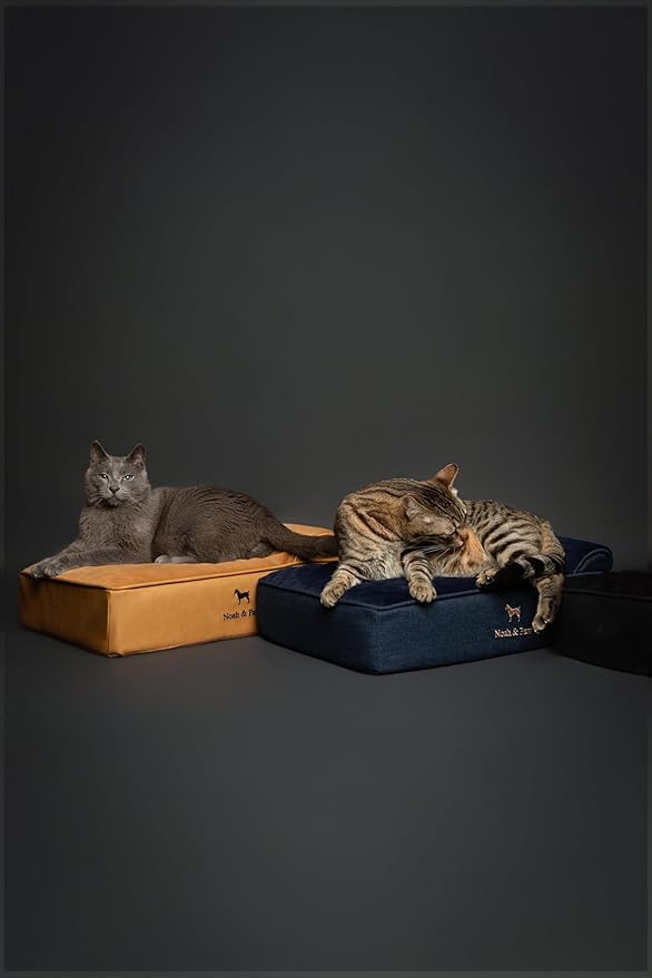 NOAH & PAW Small Dog Bed, 20x15x6.5 Inch, Cat Bed for Indoor Cats, Orthopedic Eggshell Memory Foam Infused with Cooling Gel, Waterproof, Machine Washable, Includes Inner Cover (Velvet Collection)