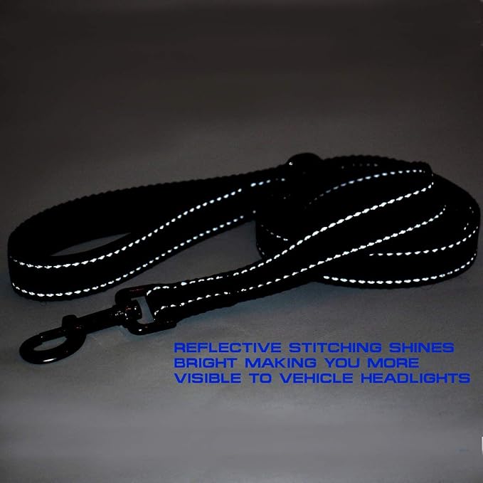 Max and Neo Reflective Nylon Dog Leash - We Donate One for Every Sold (Purple, 6ft)