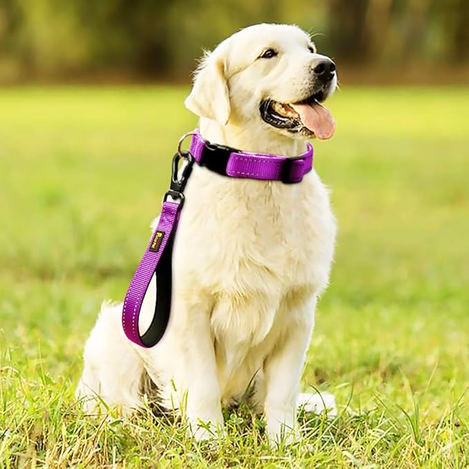 PLUTUS PET 10” Short Dog Leash, Reflective Nylon Padded Handle, Strong Traffic Leash with Carabiner Clip, Perfect for Large or Medium Dogs(10”,Purple