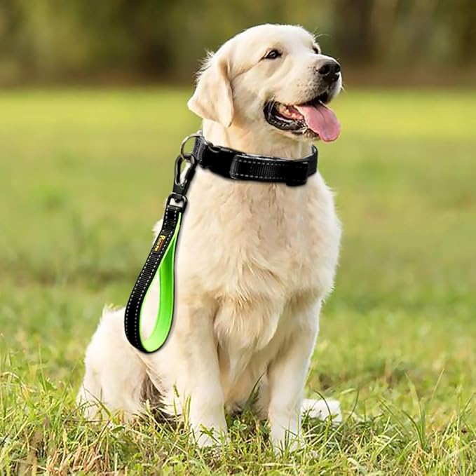 PLUTUS PET 10 Inch Short Dog Leash for Large Dogs with Locking Carabiner Clip & Padded Handle(10”, Black)