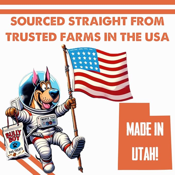 Bully Boy's Famous Chicken Training Nibs Dog Treats | Free from Wheat, Corn, Soy, or Gluten | USA Sourced Ingredients | with Smokehouse Chicken | Made in Utah | 7 oz - 3 Pack