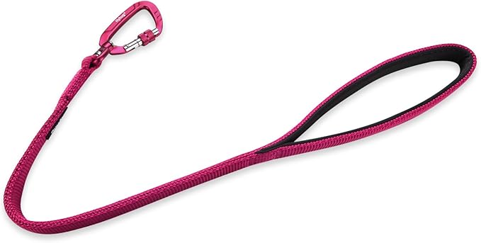 Hyhug Pets 24” Nylon Sturdy Short Leash with Neoprene Soft Handle and Lightweight Aviation Aluminium Clip Lead- for Large Medium Dogs Daily Walking and Training. (24 Inches, Rose Red)