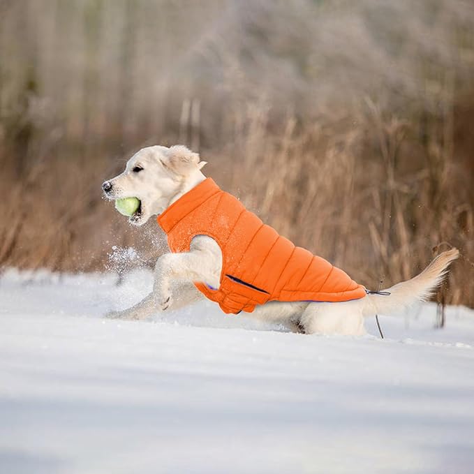 Lelepet Reversible Dog Coat Waterproof Dog Jacket Windproof Puffer Vest for Winter Warm Lightweight Coats for Small Dogs Adjustbale Hook & Loop Pet Apparel with Leash Hole, Pug, Orange, M