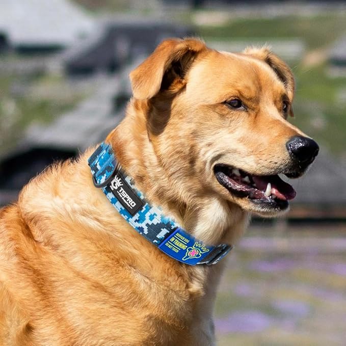 TSPRO Premium Dog Collars Tactical Dog Collar with Patch and Heavy Duty Quick-Release Metal Buckle Durable Thick and Adjustable for Medium to Large Dogs (Camo Blue M)