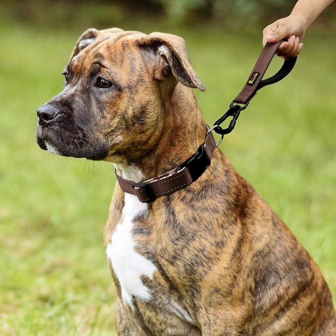 PLUTUS PET Short Dog Leash, Reflective Nylon Padded Handle, Strong Traffic Leash with Carabiner Clip, Perfect for Large or Medium Dogs (10”,Chocolate)