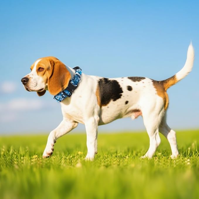 TSPRO Premium Dog Collars Tactical Dog Collar with Handle and Heavy Duty Quick-Release Metal Buckle Durable Thick and Adjustable for Medium to Large Dogs (Blue M)