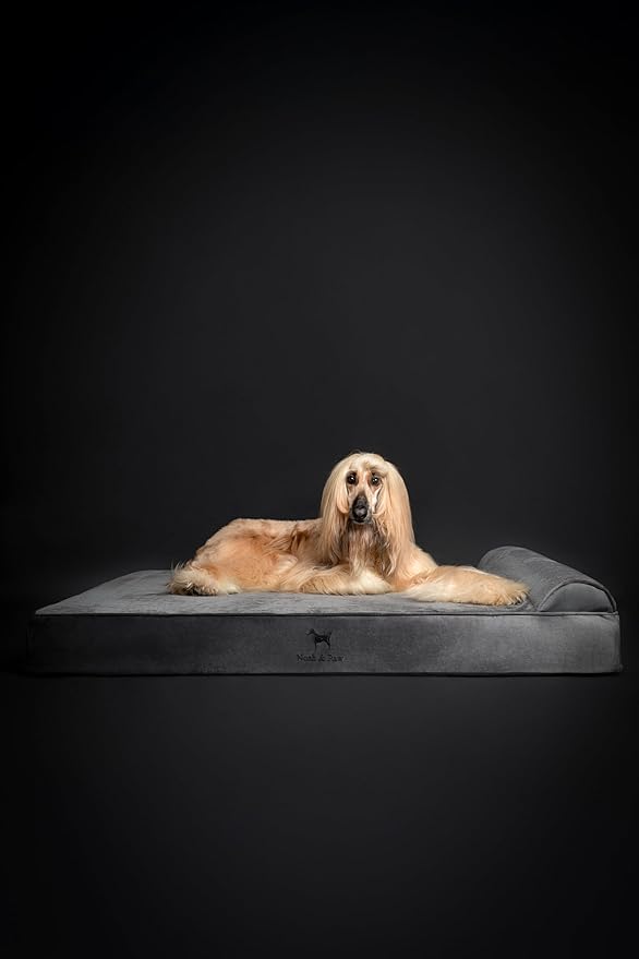 NOAH & PAW Giant Dog Bed XXL 55x45x9.5 Inch, Orthopedic Dog Beds, Eggshell Memory Foam Infused with Cooling Gel, Waterproof, Machine Washable, Includes Inner Cover (Velvet Collection)