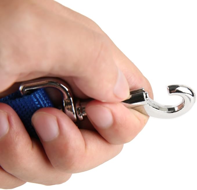 Nylon Dog Training Leash, Traction Rope, 4Ft /5 Foot /6 Feet Long, 5/8 inch 3/4 Inch 1 Inch Wide, for Small and Medium Dogs (1'' x 12 FT, Blue)