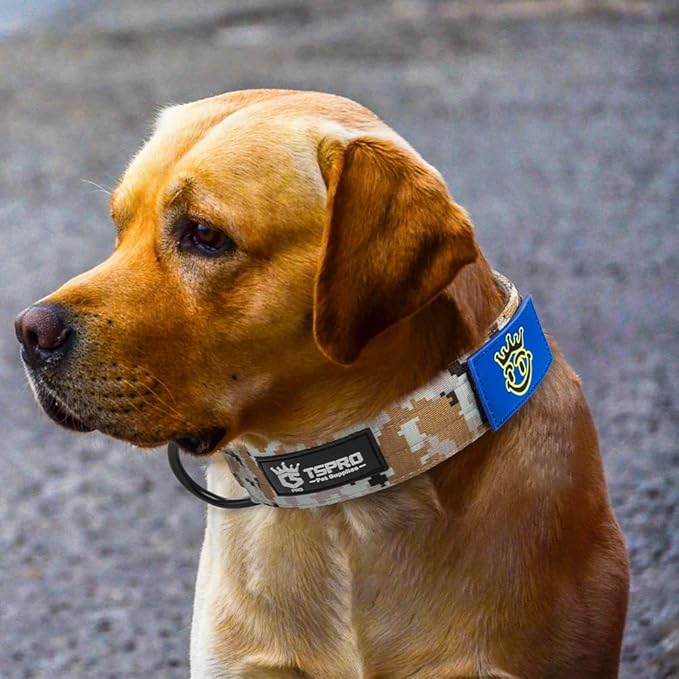 TSPRO Premium Dog Collars Tactical Dog Collar with Patch and Heavy Duty Quick-Release Metal Buckle Durable Thick and Adjustable for Medium to Large Dogs (Camo Khaki M)