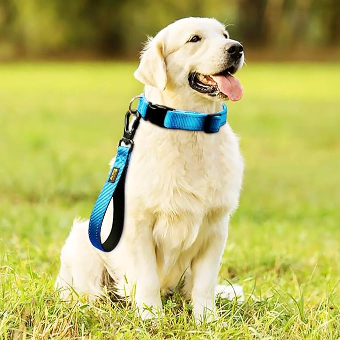 PLUTUS PET 10” Short Dog Leash, Reflective Nylon Padded Handle, Strong Traffic Leash with Carabiner Clip, Perfect for Large or Medium Dogs(10”,Blue