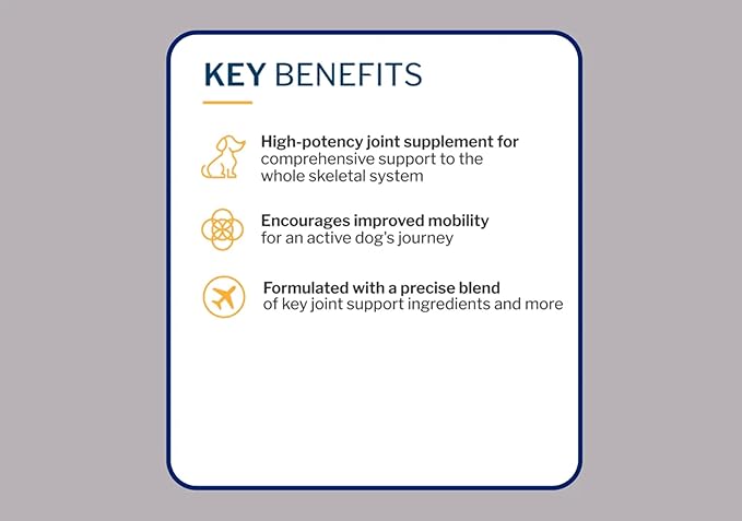 to The Rescue Dog Hip and Joint Gloucosamine Supplement - Encourages Improved Mobility for an Active Dog's Journey - Supports Bone, cartlige and Connective Tissue Health - 60 Chews