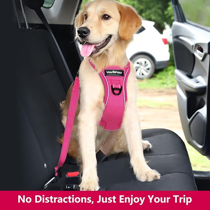 Dog Seat Belt Harness for Car, Dog Car Harness Adjustable Mesh Breathable & Dogs Seatbelt Safety Tether with Elastic Bungee for Small Medium Large Pets(Rose, S)