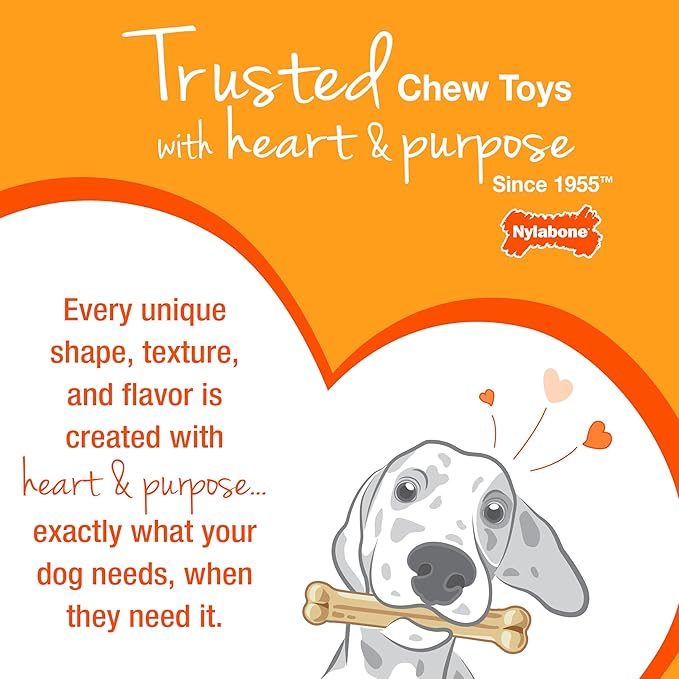 Nylabone Power Chew Customer Favorites Bundle, Tough Dog Toys for Aggressive Chewers, Christmas Dog Toy & Thanksgiving Dog Toys, Small Dogs - Up to 25 lbs (3 Pack)
