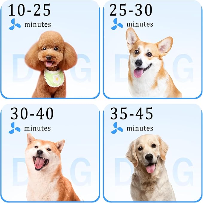 High Velocity 5.2HP 3500W Large Dog Hair Dryer with Heater for Grooming - Adjustable Temperature with 4 Nozzles (Blue)