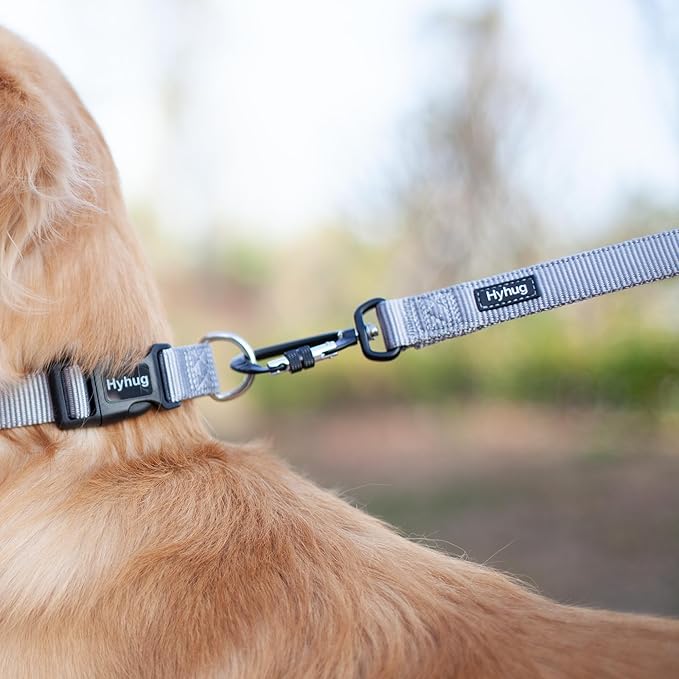 Hyhug Short Dog Leash Heavy Duty Nylon with Comfortable Padded Handle, Durable Training Pet Leashes for Small Medium Large Dogs(18 Inches, Sleet Gray)