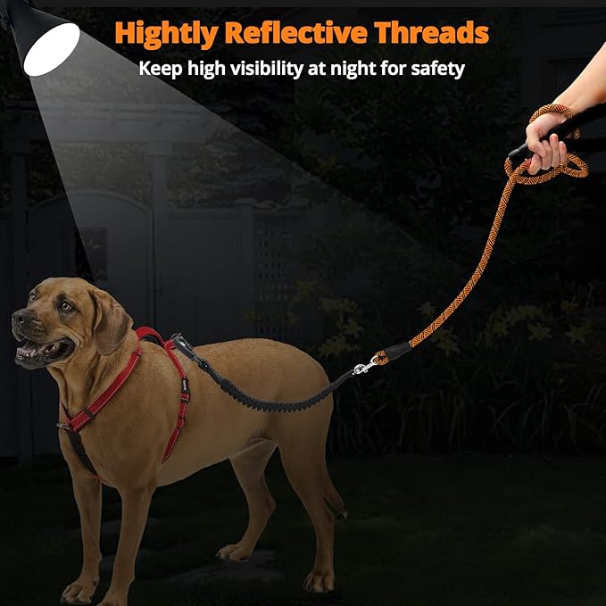 Long Dog Leash 10 FT: Heavy Duty Rope Leashes for Dogs Training with Swivel Lockable Hook Reflective Threads Bungee and Padded Handle - Dog Lead for Large Small Medium Dogs Outside Walking Hiking