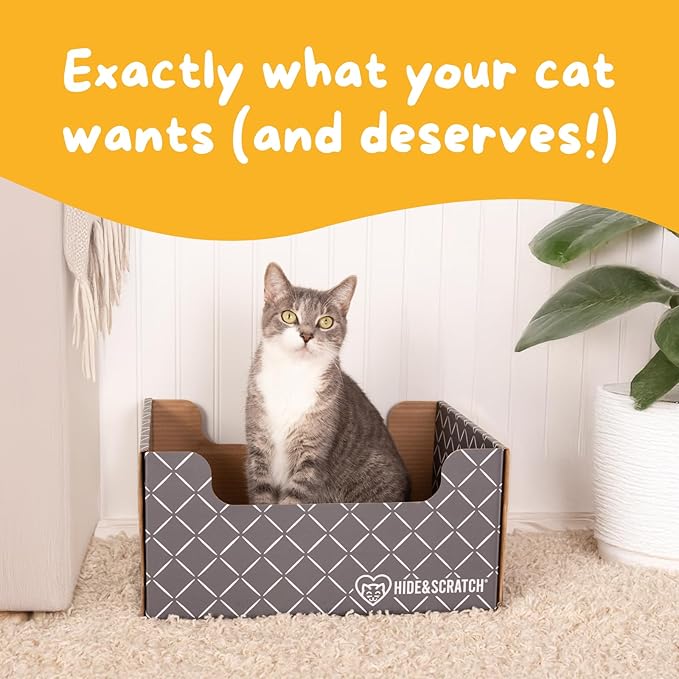 Hide & Scratch Cardboard Cat Scratcher Box & Bed - Dark Grey Diamond | Double-Sided Corrugated Pad for Indoor Cats | Refillable Scratching Board Toy for Play & Furniture Protection