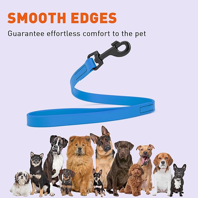 Dogline Biothane Waterproof Dog Leash Strong Coated Nylon Webbing with Black Hardware Odor-Proof Easy to Clean High Performance for Small or Large Dogs Made in USA 2 ft Lead, Cerulean Blue