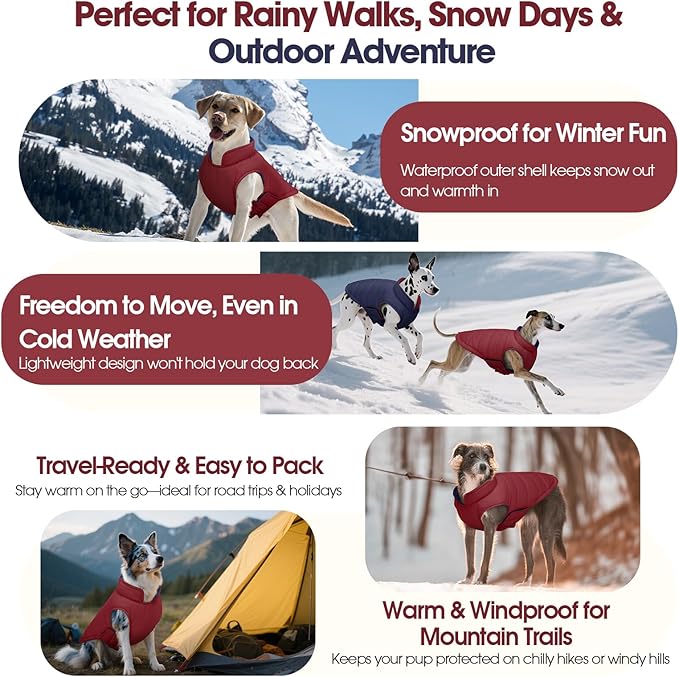 QBLEEV Reversible Dog Winter Coat, Waterproof Windproof Warm Jacket with Adjustable Hook & Loop Design, Lightweight Puffer Vest for Medium Dogs, Wine Red, M – Fits Pug, Beagle, Corgi