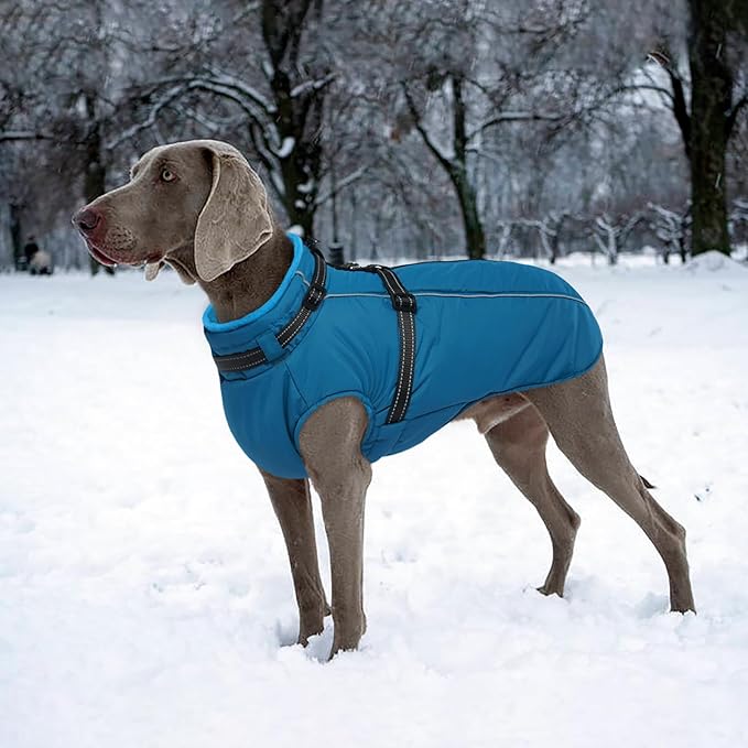 Lelepet Waterproof Dog Jacket with Harness Built in Warm Dog Winter Coat, Reflective Windproof Fleece Jacket, Dogs Coats for Lage Dogs, Thermal Pet Snowsuit for Cold Weather, French Bulldogs, Blue, L