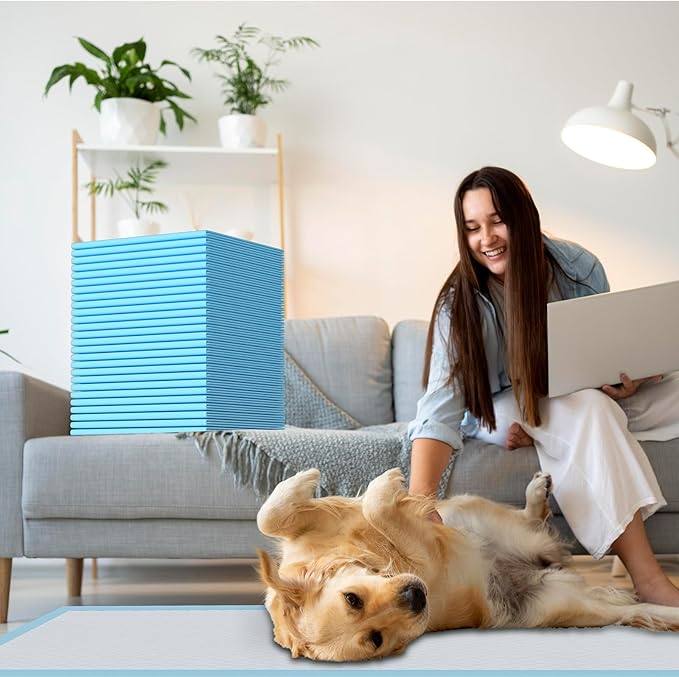 Puppy Pads Extra Large for Dogs 31"x47" 40 Count, Leak-Proof & Super Absorbent Dog Pee Pads, Thicken Disposable Potty Pads Puppy Training Pads for Cats Rabbits (40PCS)