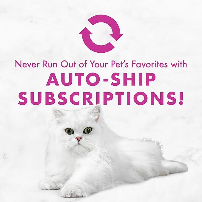 Purina Fancy Feast Tender Beef and Chicken Feast Classic Grain Free Wet Cat Food Pate - (Pack of 24) 3 oz. Cans