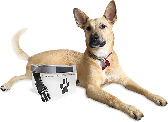 (re) zip Clip N' Go Pet Bowl 2-Pack | Collapsible Portable Dog Food Storage Bag and Feeding/Water Bowl | BPA-Free, Food Grade, Leakproof | Reusable, Machine Washable (Clear)