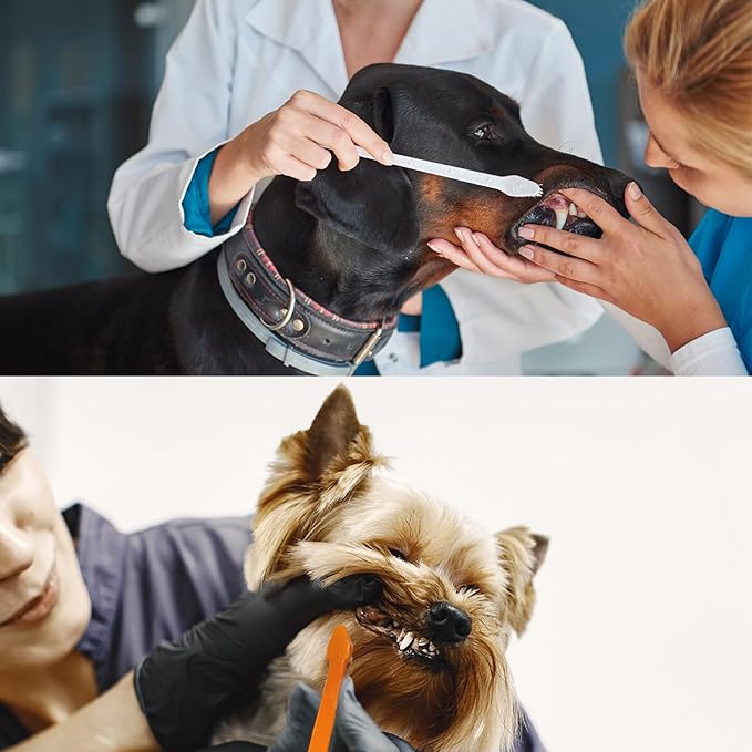 200 Pcs Dog Toothbrush Cat Tooth Brushes Bulk, Double Sided Brushing Kit, Teeth Cleaning Kit Soft Bristles Long Handle, Pet Tooth Brush for Small to Large Dog, Cat, Puppy & Kitten, 10 Colors