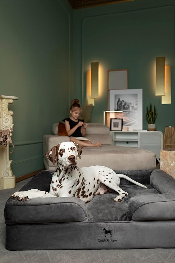 NOAH & PAW XL Dog Bed, 45x35x11 Inch, Orthopedic Large Dog Beds, Eggshell Memory Foam Infused with Cooling Gel, Inner Cover, Waterproof, Machine Washable (Velvet Sofa Collection)