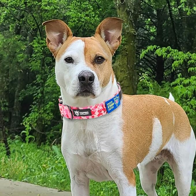 TSPRO Premium Dog Collars Tactical Dog Collar with Patch and Heavy Duty Quick-Release Metal Buckle Durable Thick and Adjustable for Medium to Large Dogs (Camo Pink L)