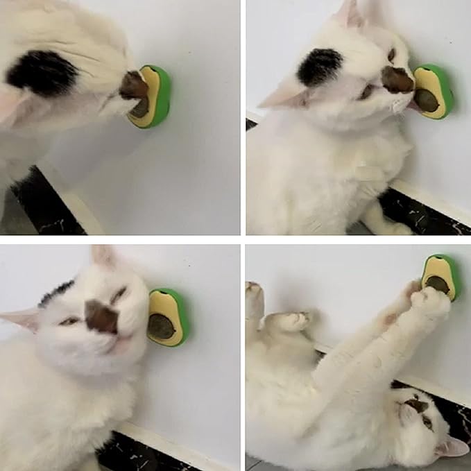 Pet Chew Toy for cat,Avocado - Shaped Pet Chew Toy for Teeth Grinding and Digestive Health2PCS