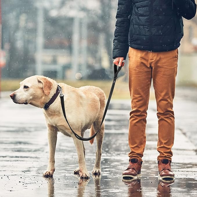 Fida 4 FT Heavy Duty Dog Leash with 2 Comfortable Padded Handles, Traffic Handle & Advanced Easy Snap Hook, Reflective Walking Lead for Large, Medium & Small Breed Dogs (4 FT x 1" Wide, Black)