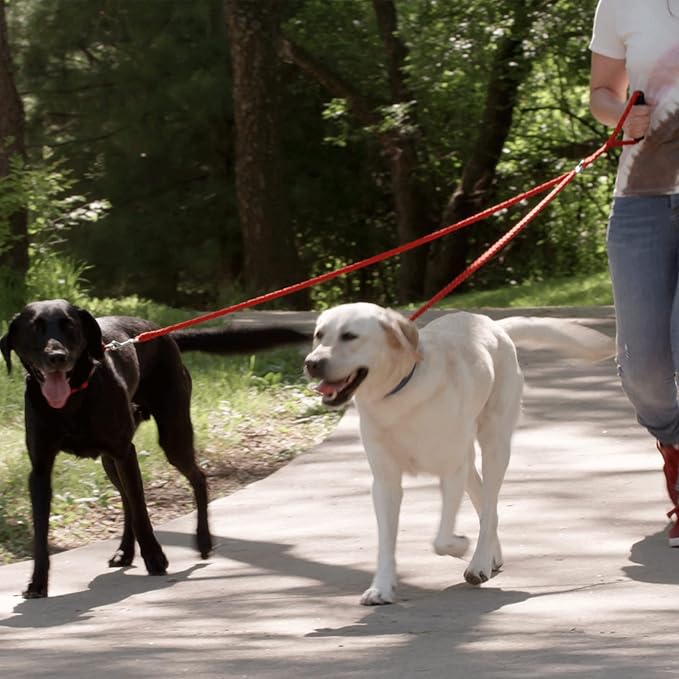 Caldwell's Pet Supply Co. Dual Dog Leash, Double Dog Leash for Two Dogs, Tangle Free, Heavy Duty Double Ended Tandem Leashes with Padded Handle, Tangle-Free Swivel, for Small, Medium or Large Dogs