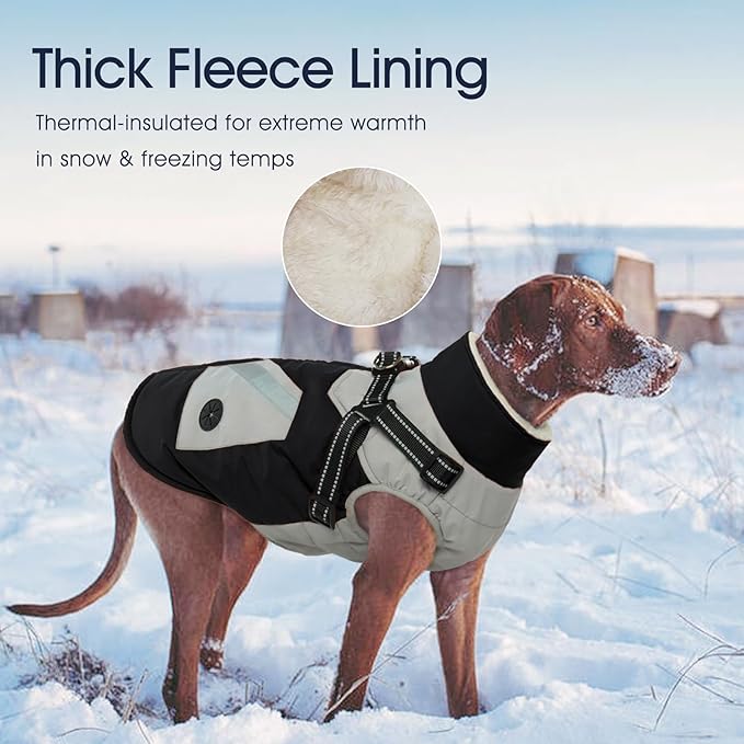 IECOii Dog Winter Coat Waterproof - Black, Medium - Dog Coat with Harness Built in for Medium Dogs, Thermal Warm Fleece Lined with Zip Up Cold Weather Jacket, Reflective Snowsuit for Outdoor Hiking