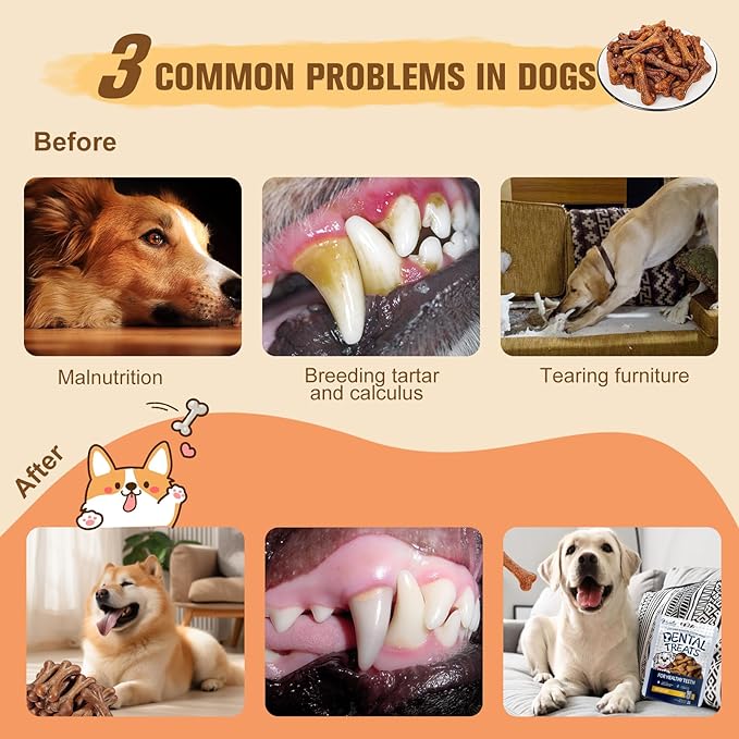 Dental Chew Bone Sticks for Dogs - Beef Flavor Teeth Cleaning Treats, Chew Toy for Small to Medium Dogs, Healthy Teeth Cleaning Treats (S, Bacon)