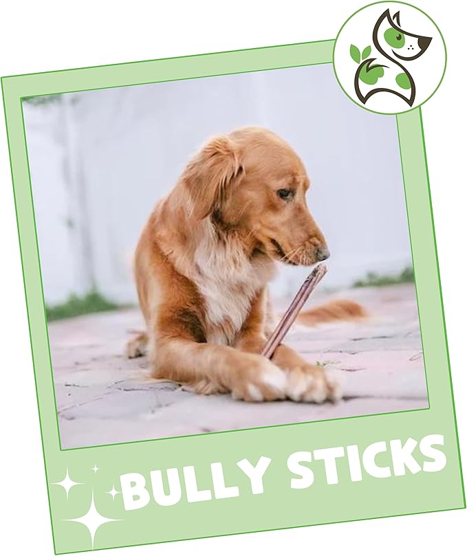 Nature Gnaws Bully Sticks for Dogs 11-12" (1Lb) - Mixed Thickness - Long Lasting for Aggressive Chewers and Large Dogs - Natural Beef Dog Chew Bones