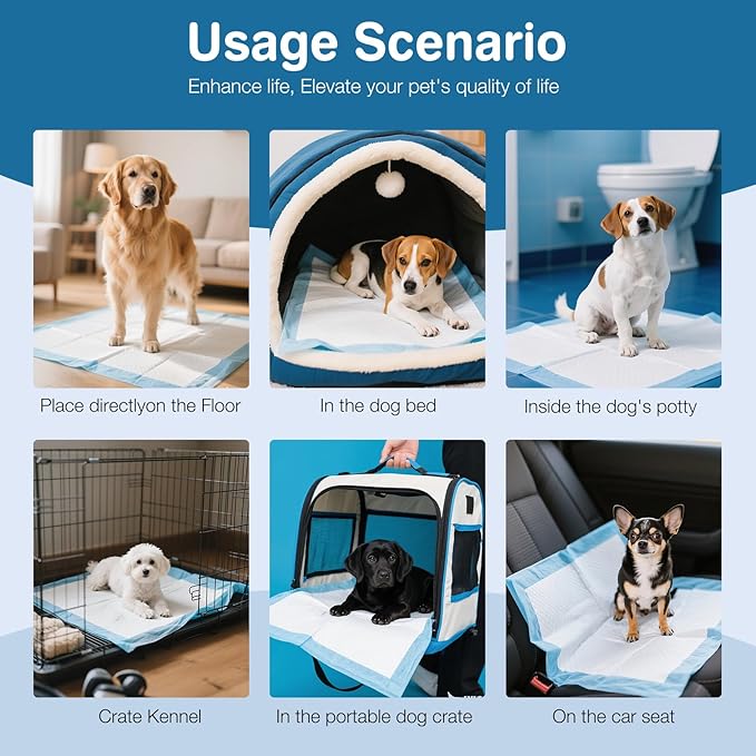 40 Pack Extra Large Dog Pee Pads, XXL Puppy Training Pads - 31.5 x 35.4 Inch, Quick Dry, 6-Layer Leak Proof Protection and Disposable Dog Pads with Super Absorbent for Indoor, Outdoor Use