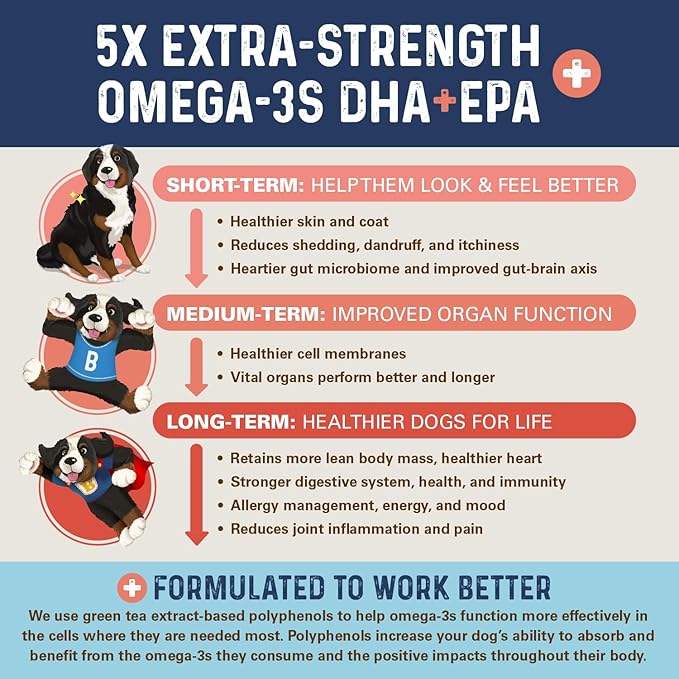 Bernie's OMG! Omegas Chews for Dogs - 5X Extra Strength DHA+EPA, Fish Oil, Healthy Skin & Coat, Allergy Relief, Joint Supplement (Salmon Flavor)