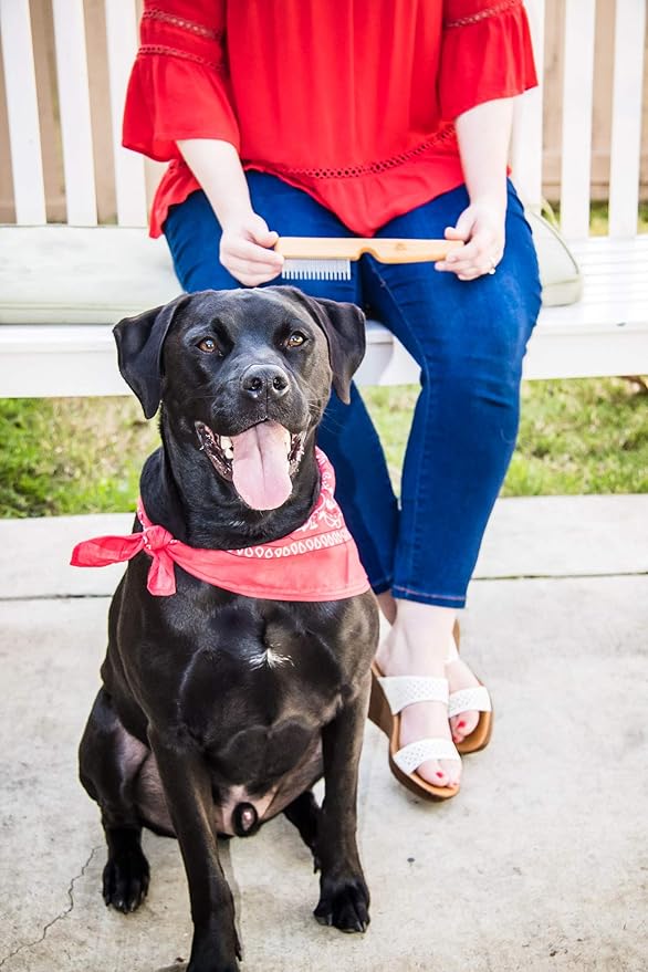 Detangling Pet Comb for Matted Hair and Detangler, with Long & Short Stainless Steel Teeth for Dog and Cat- Natural Easy Grooming Tool