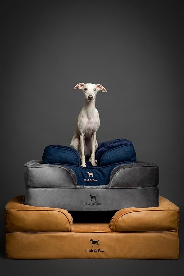 NOAH & PAW Large Dog Bed, 35x25x11 Inch, Orthopedic Dog Beds, Eggshell Memory Foam Infused with Cooling Gel, Inner Cover, Waterproof, Machine Washable (Velvet Sofa Collection)