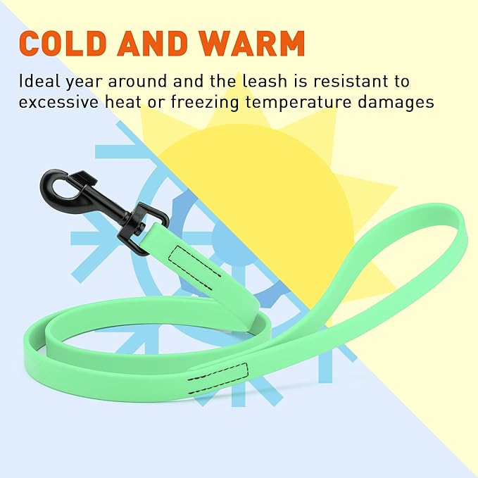 Dogline Biothane Waterproof Dog Leash Strong Coated Nylon Webbing with Black Hardware Odor-Proof Easy to Clean High Performance for Small or Large Dogs Made in USA 4 or 6 ft Lead, Sea Foam Green