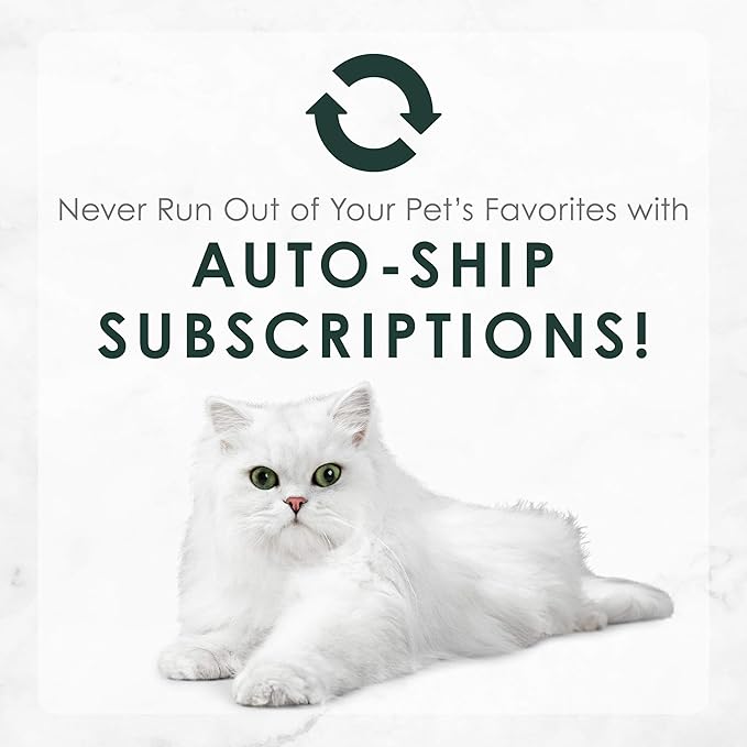 Purina Fancy Feast Senior Wet Cat Food 7 Years Plus Beef Feast Pate - (Pack of 24) 3 oz. Cans