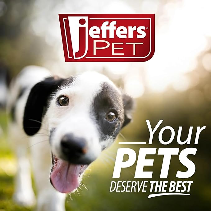 Jeffers Pet Plush Dog Toy with Squeaker, Christmas Reindeer 12"- Durable & Safe for Puppies & Dogs, Holiday Stocking Stuffer, Soft Interactive Play, Fetch & Tug Pet Toy, Best Gift for Active Games